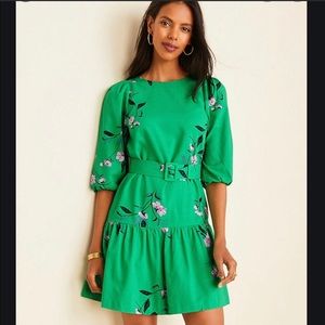 Ann Taylor Floral Belted Flounce Dress